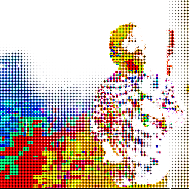 Alexandre B A Villares